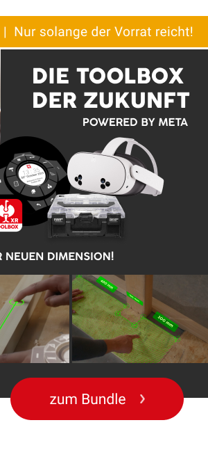 Bundle e.s. Werkzeugbrille 